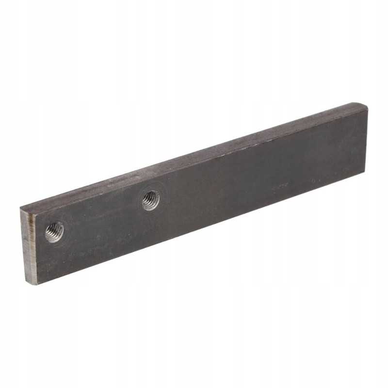 Palfinger skaidrė 170x30x10mm