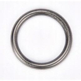 Oring cnh new Holland 4890926