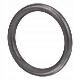 Oring cnh new Holland 4890926