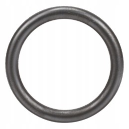 Oring cnh new Holland 4890926