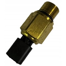 Caterpillar 3054e c4 variklio temperatūros jutiklis 4