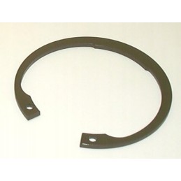 P17 s1 žiedas, skirtas kontinentiniam