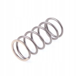 Slankiklio spyruoklė pvg32 spyruoklė pvm s