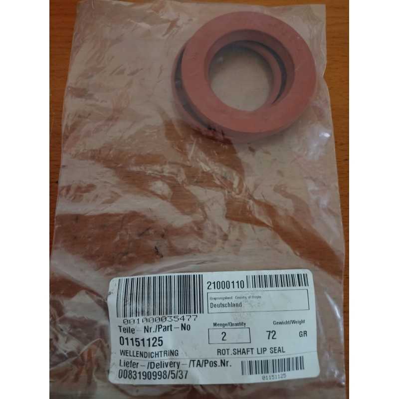 Deutz sandariklis 01151125