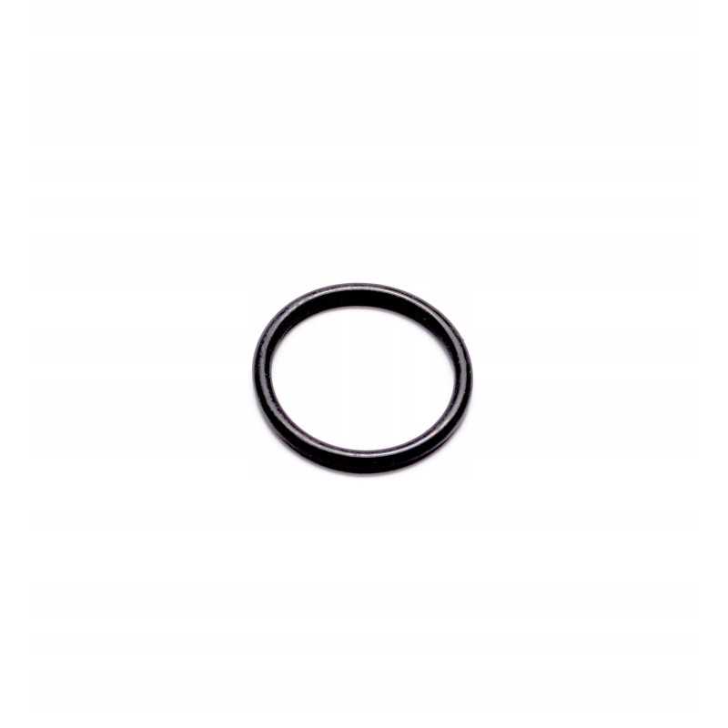 O žiedinis ruonis katė