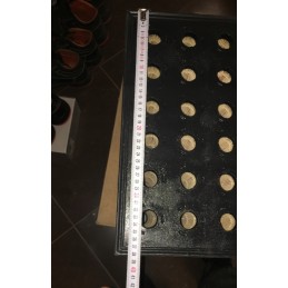 Oro filtro įdėklas