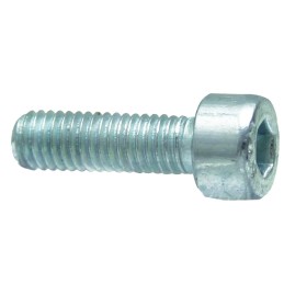Lizdo galvutės varžtas din 912 m10 x 25 10 25 din 9