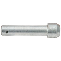 Pavaros kaištis rnz bunkerio barstytuvas 2012060500