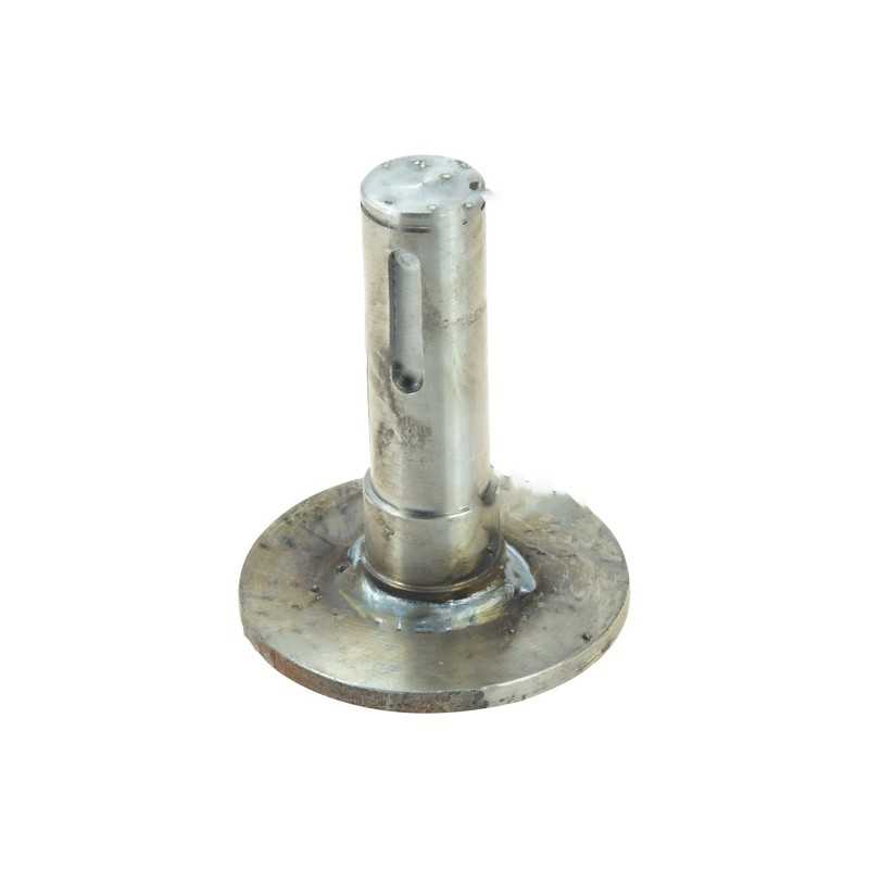 Ilgas regeneruojantis arklio barstymo būgno kaištis