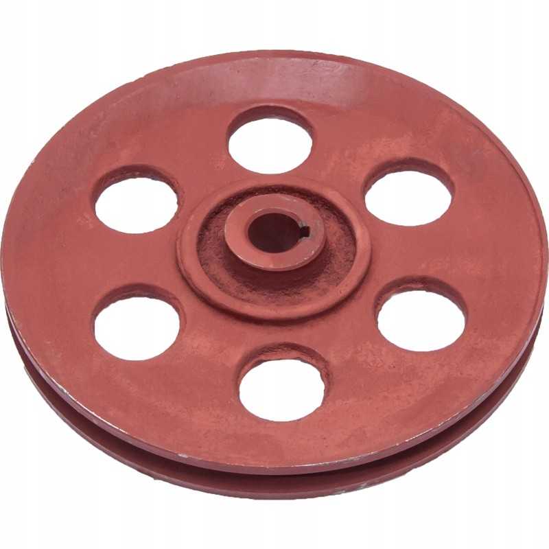 Griovuotas skriemulys dalgio barstytuvui rnz 2015020060