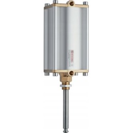 Pneumatinė pavara 6 mz