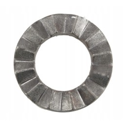 Diskas sukabina sustiprintą buivolo sferą