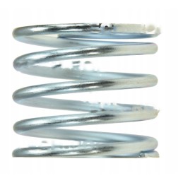 Spyruoklinis barstytuvas rnz 201202013 2012100050 pro