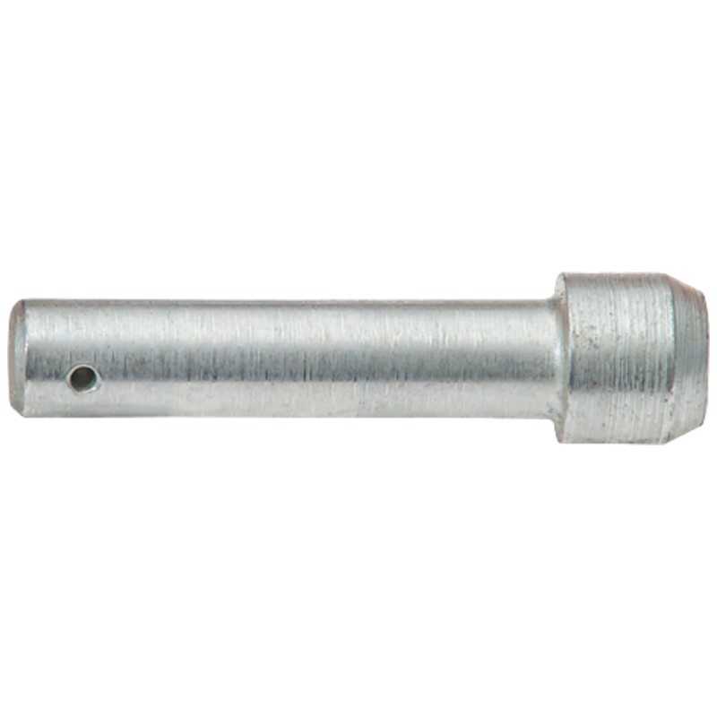 Pavaros kaištis rnz bunkerio barstytuvas 2012060500