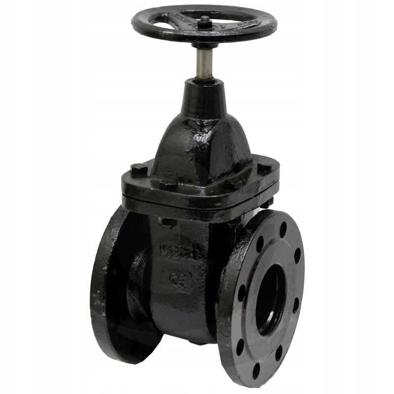 Flanšinis pleištinis sklendė 80 pn 10 16 160