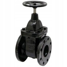 Flanšinis pleištinis sklendė 80 pn 10 16 160