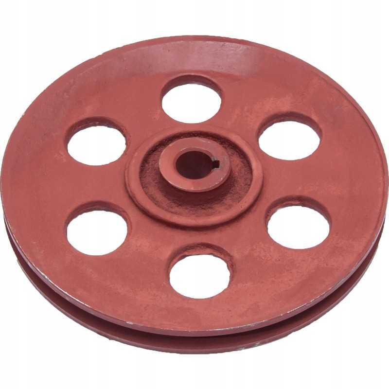 Griovuotas skriemulys dalgio barstytuvui rnz 2015020060