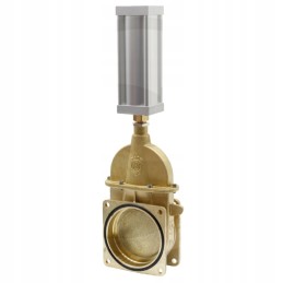 Pneumatinis pleištinis sklendė 6 su pavara