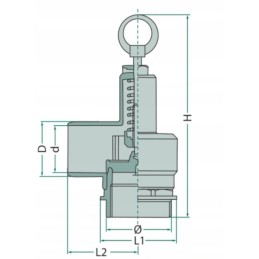 Apsauginis vožtuvas 195mm 2in 43mm m