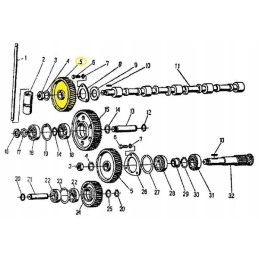 Paskirstymo veleno krumpliaratis 950424 c 360 zetor s