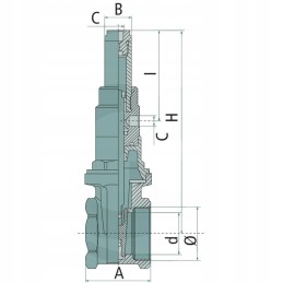 Dvigubo veikimo cilindras oe 2 ir 72 mm