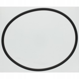 Oring fi i 177 2 x 6 99 4058f2150010 mz