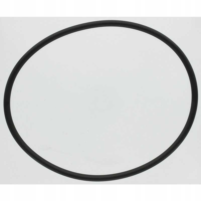 Oring fi i 177 2 x 6 99 4058f2150010 mz