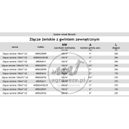 Moteriška jungtis 100x4 su itališku Bersell tipo sriegiu