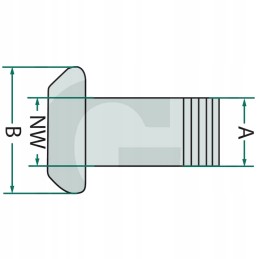 Lizdas su sriegiu, išorinė Perrot sistema 108 4