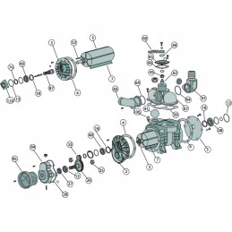 Pavaros korpusas 4054010301028 bp
