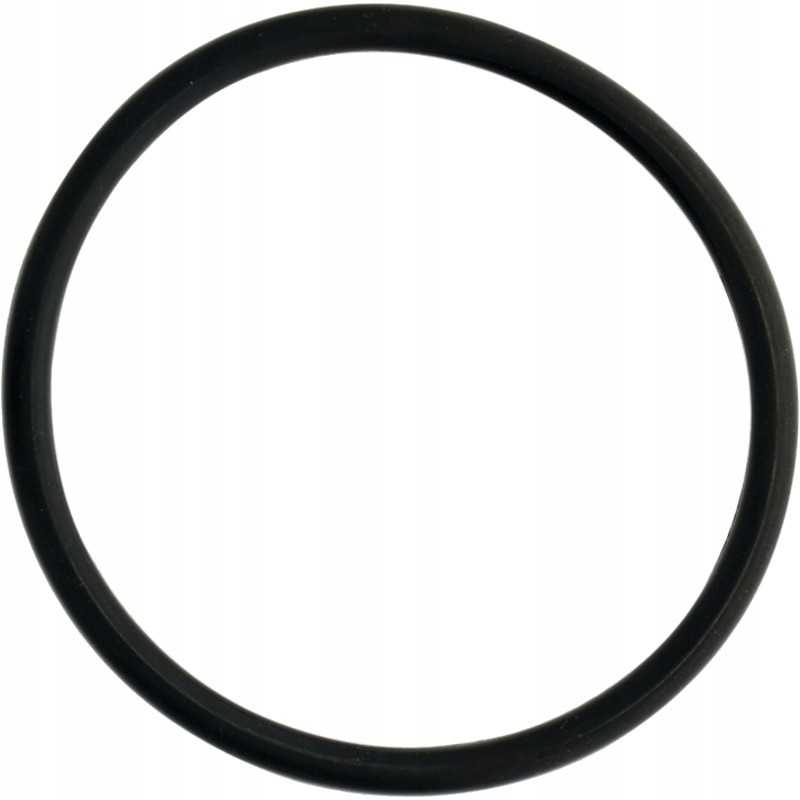 Sandarinimo žiedas rezervuaro jungtims 100 mm 4