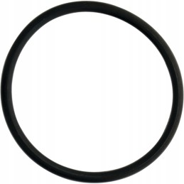 Sandarinimo žiedas rezervuaro jungtims 100 mm 4