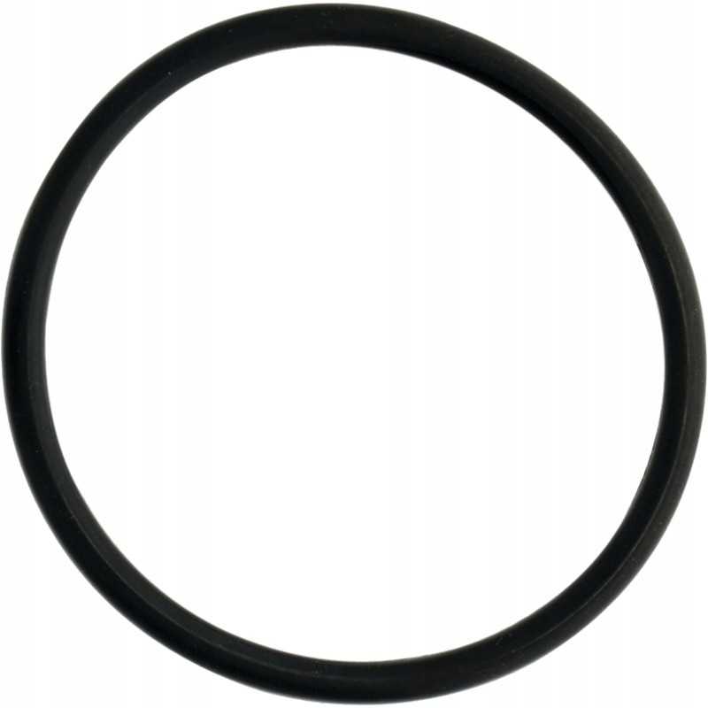 Sandarinimo žiedas rezervuaro jungtims 100 mm 4