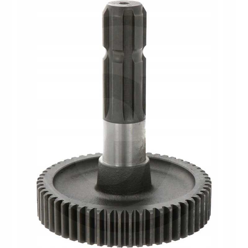 B p krumpliaračio dantų skaičius 55 mec 26 26