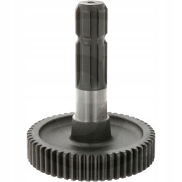 B p krumpliaračio dantų skaičius 55 mec 26 26