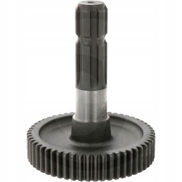 B p krumpliaračio dantų skaičius 55 mec 26 26