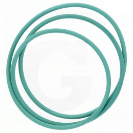 Žiedas arba 4975 oe 250 mm storis 3 60 60