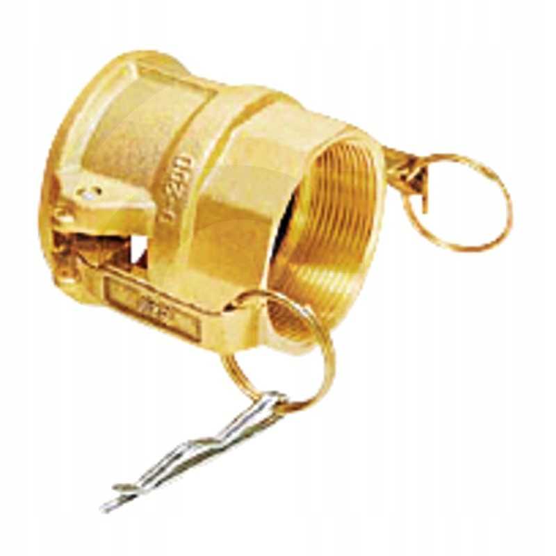 Kištukas nw 1 1 4 bsp 16 barų žalvario sistema c