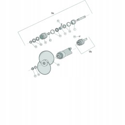 Visas užpakalio griovelis 19 19