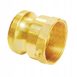 Camlock lizdas 1 1 4 BSP 16 barų žalvaris