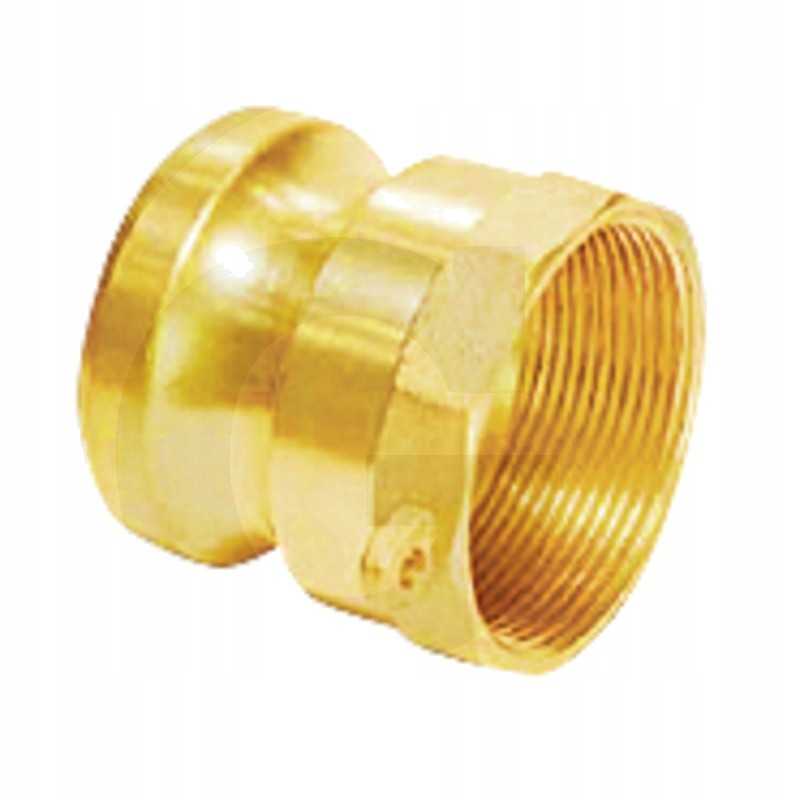 Camlock lizdas 1 1 4 BSP 16 barų žalvaris