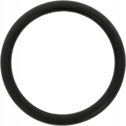 Guminis sandarinimo žiedas hk 89 r sistemai