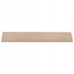 Siurblio kompresoriaus mentė el 120 400x60x10 mm