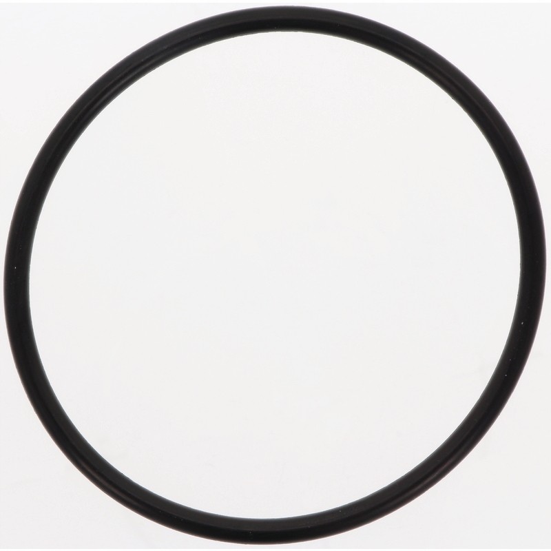 Oring 4055030210008 5030210008 bp