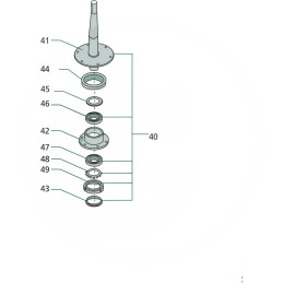 Veleno sandariklio žiedas