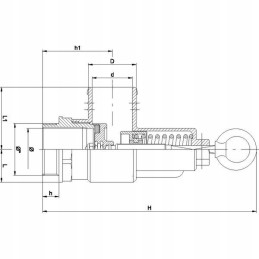 0125013 apsauginis vožtuvas 1 1 4