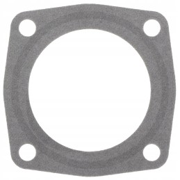 B p antspaudas 15 15