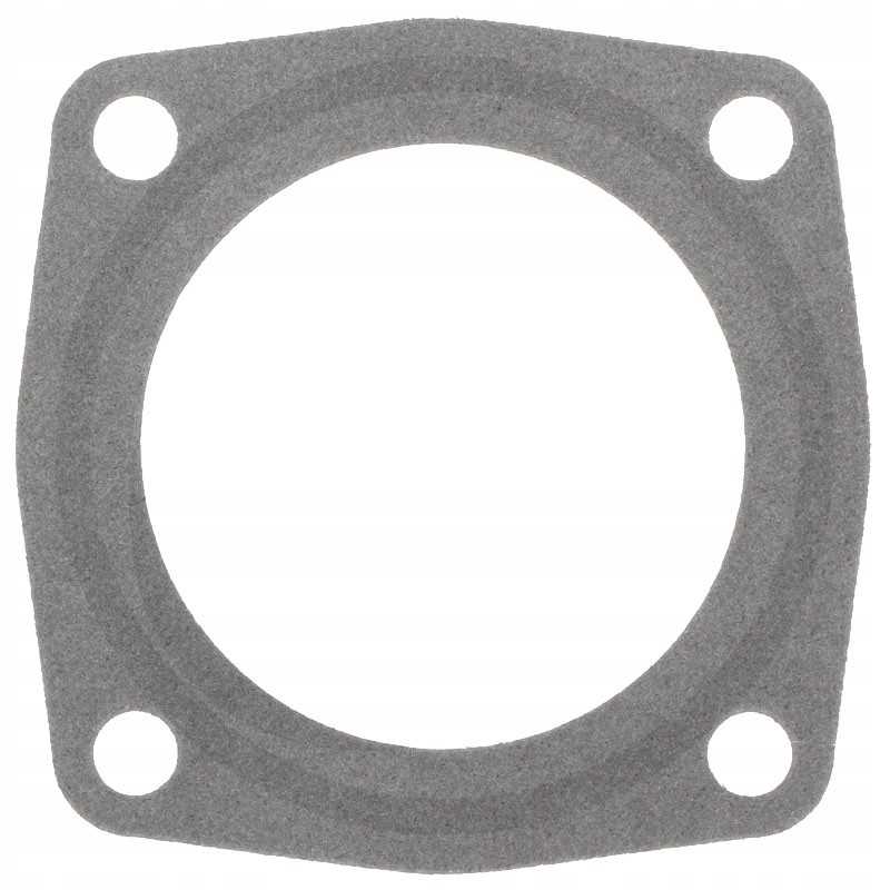 B p antspaudas 15 15