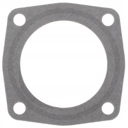 B p antspaudas 15 15