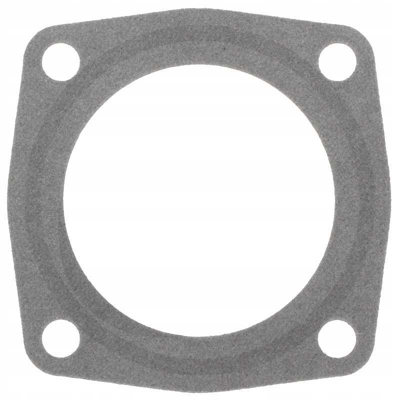 B p antspaudas 15 15